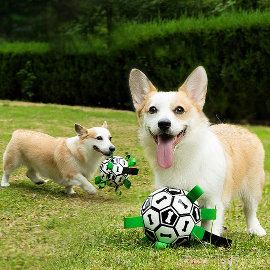 Ballon de football pour chien avec languettes