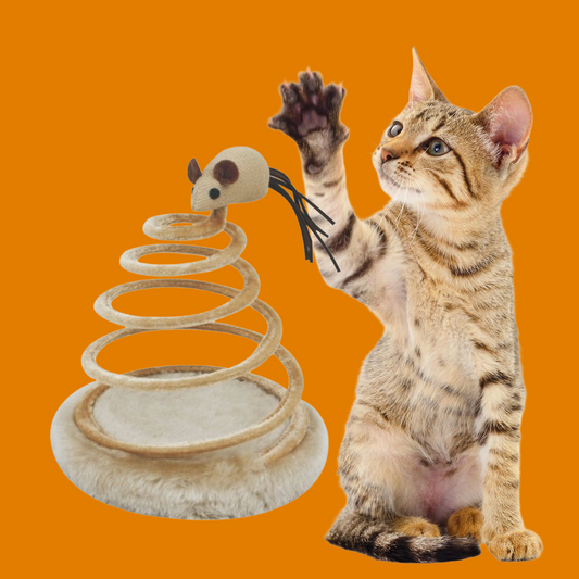 Spirale sautante pour chats avec souris de jeu 20cm
