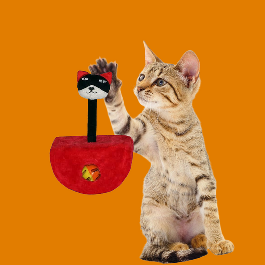 Griffoir Interactif pour chat