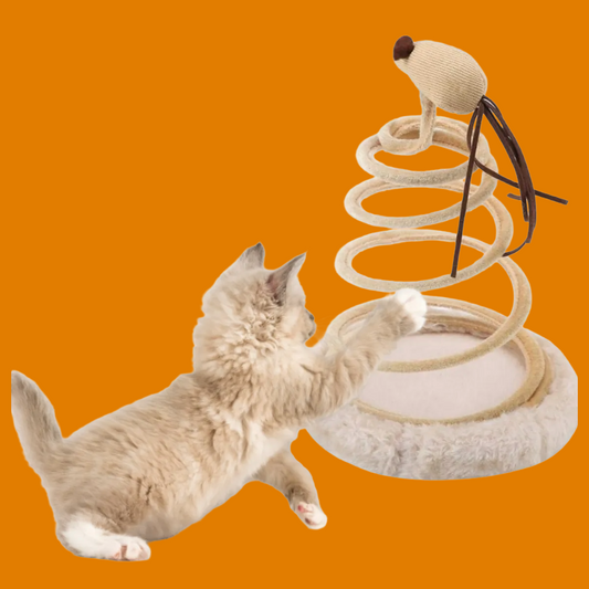Spirale sautante pour chats avec souris de jeu 20cm