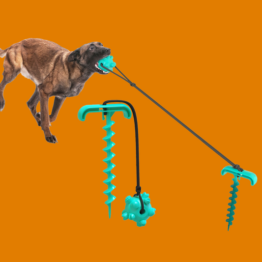 Jouet à mâcher avec Corde élastique pour Chien