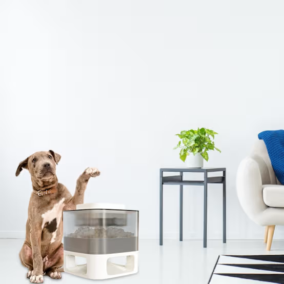 Jouet Ralentisseur de Repas pour Chien