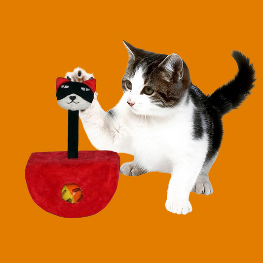 Griffoir  Interactif pour chat